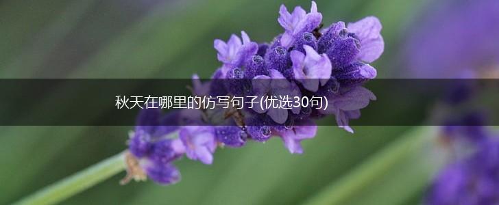 秋天在哪里的仿写句子(优选30句),第1张