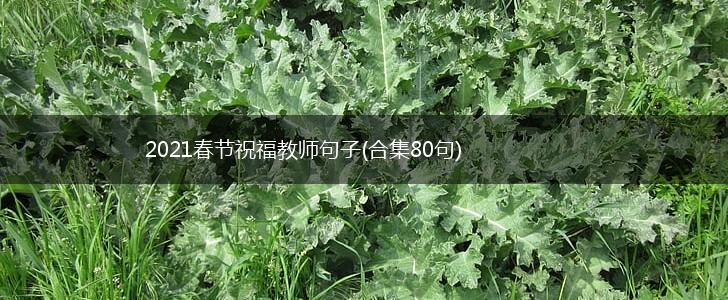 2021春节祝福教师句子(合集80句),第1张