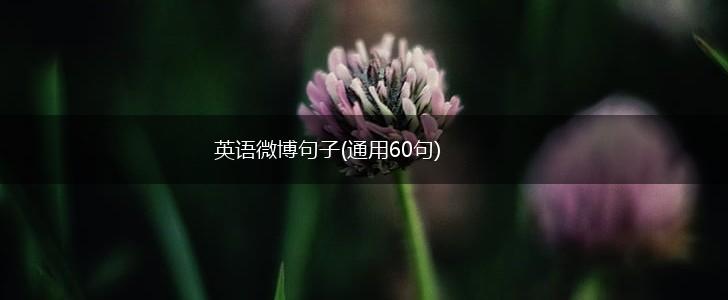 英语微博句子(通用60句),第1张