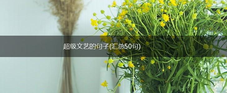 超级文艺的句子(汇总50句),第1张