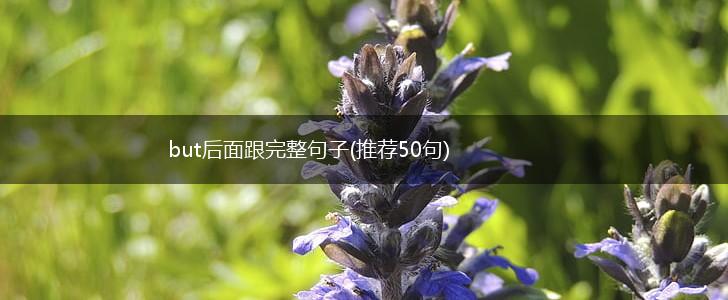 but后面跟完整句子(推荐50句),第1张