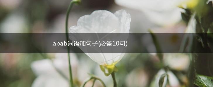 abab词语加句子(必备10句),第1张