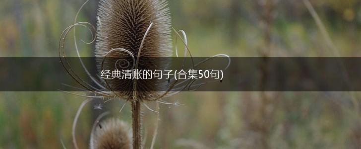 经典清账的句子(合集50句),第1张