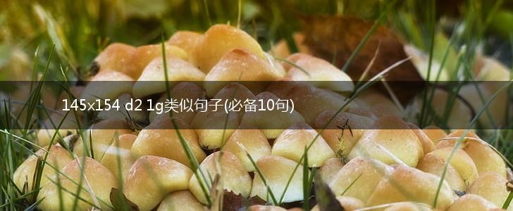 145x154 d2 1g类似句子(必备10句),第1张