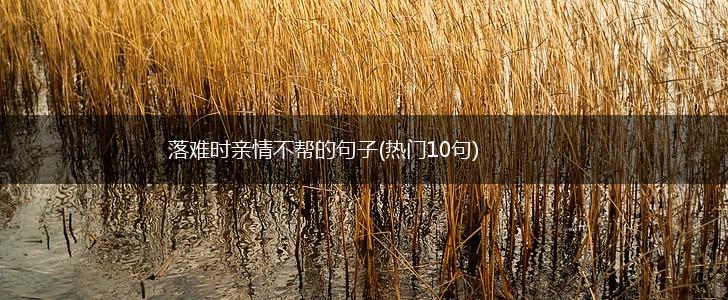 落难时亲情不帮的句子(热门10句),第1张