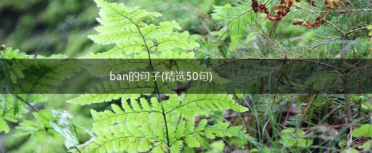 ban的句子(精选50句),第1张