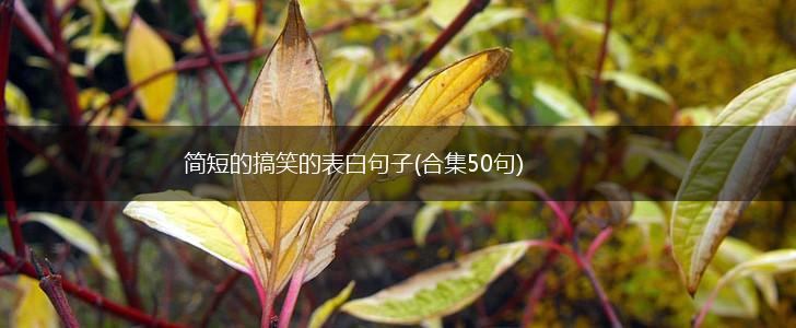 简短的搞笑的表白句子(合集50句),第1张