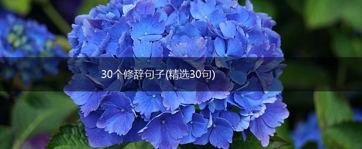 30个修辞句子(精选30句),第1张