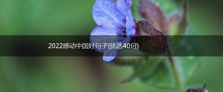 2022感动中国好句子(优选40句),第1张