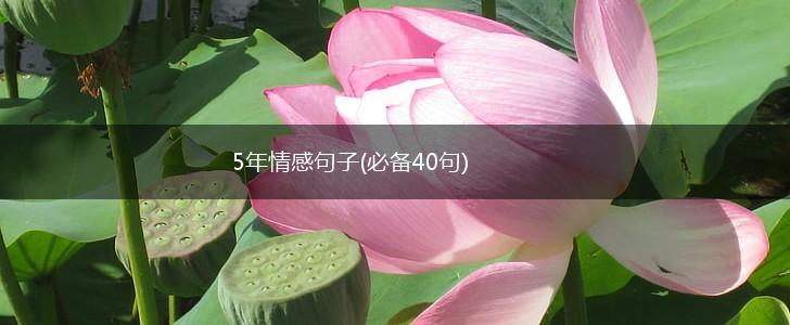 5年情感句子(必备40句),第1张