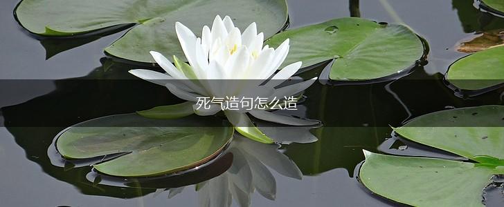 死气造句怎么造,第1张