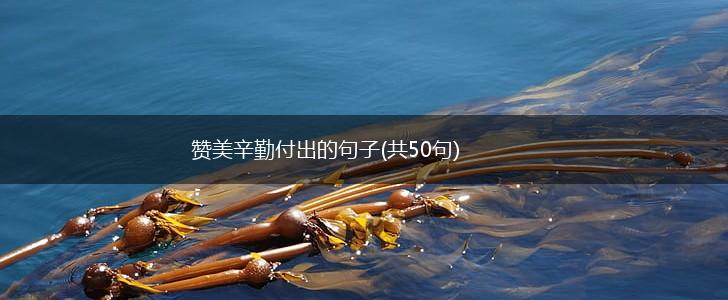 赞美辛勤付出的句子(共50句),第1张