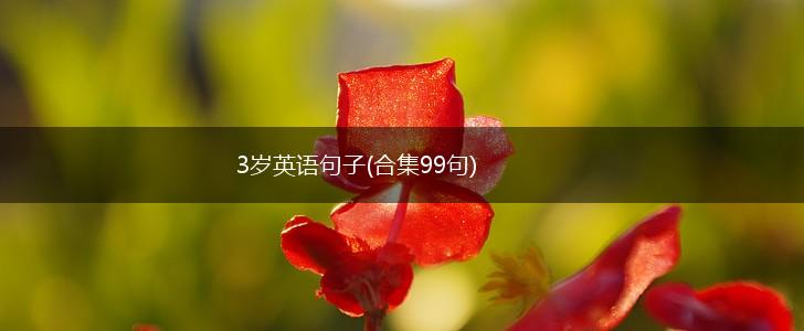 3岁英语句子(合集99句),第1张