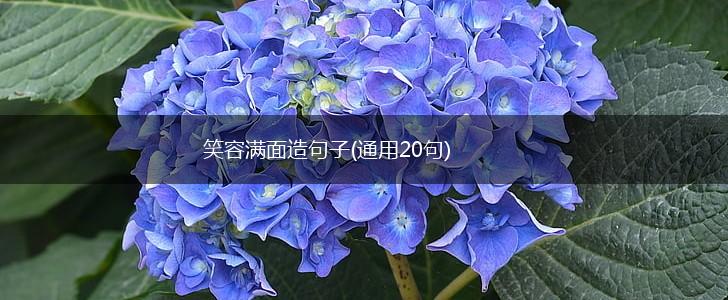 笑容满面造句子(通用20句),第1张