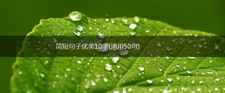 简短句子优美10字(通用50句),第1张