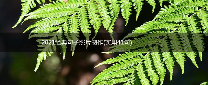 2021经典句子照片制作(实用41句),第1张