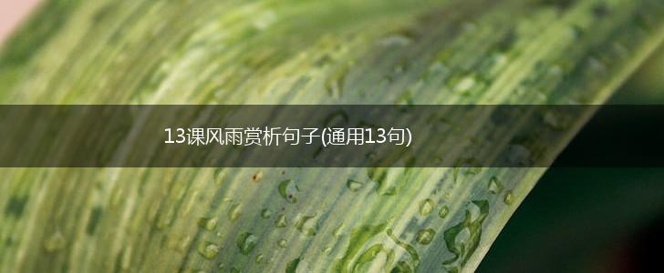 13课风雨赏析句子(通用13句),第1张
