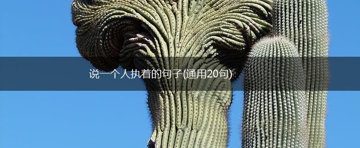 说一个人执着的句子(通用20句),第1张