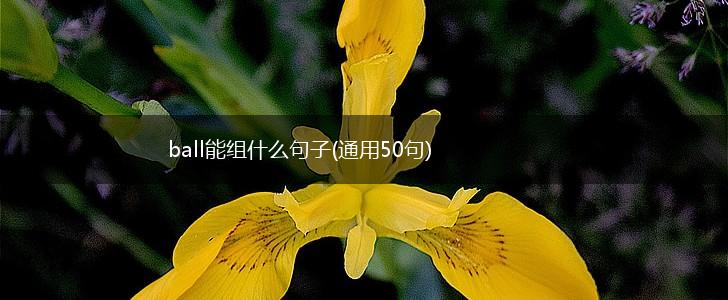 ball能组什么句子(通用50句),第1张