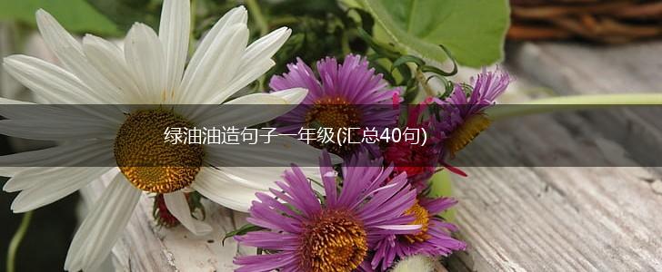 绿油油造句子一年级(汇总40句),第1张