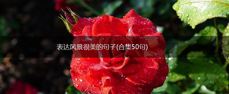 表达风景很美的句子(合集50句),第1张