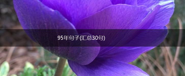 95年句子(汇总30句),第1张