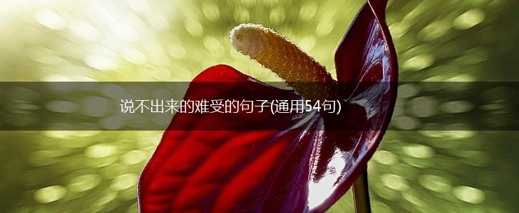 说不出来的难受的句子(通用54句),第1张