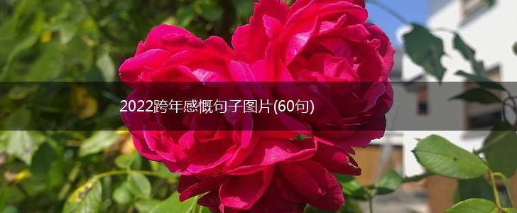 2022跨年感慨句子图片(60句),第1张