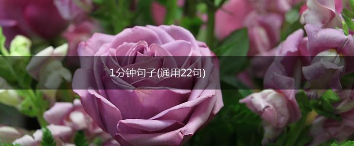 1分钟句子(通用22句),第1张