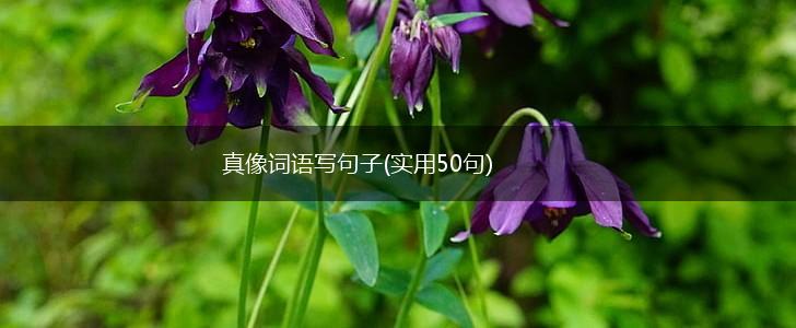 真像词语写句子(实用50句),第1张