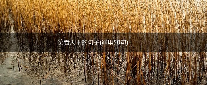 笑看天下的句子(通用50句),第1张