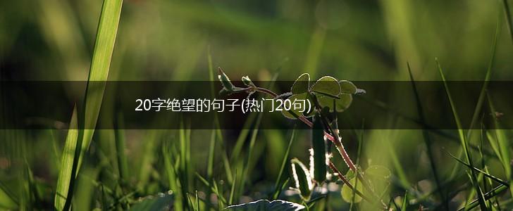 20字绝望的句子(热门20句),第1张