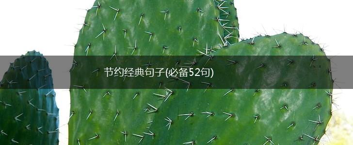 节约经典句子(必备52句),第1张
