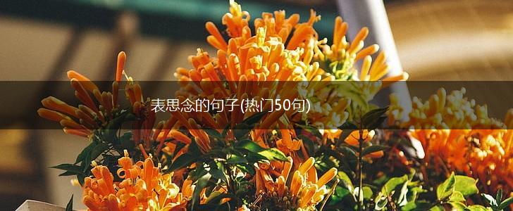 表思念的句子(热门50句),第1张