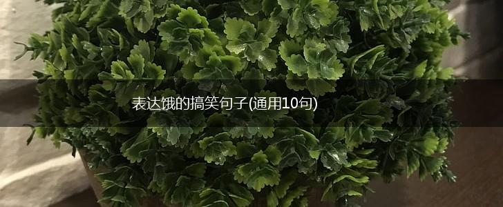 表达饿的搞笑句子(通用10句),第1张
