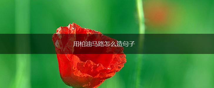 用柏油马路怎么造句子,第1张