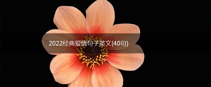 2022经典爱情句子英文(40句),第1张