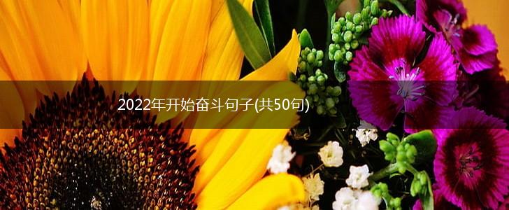 2022年开始奋斗句子(共50句),第1张