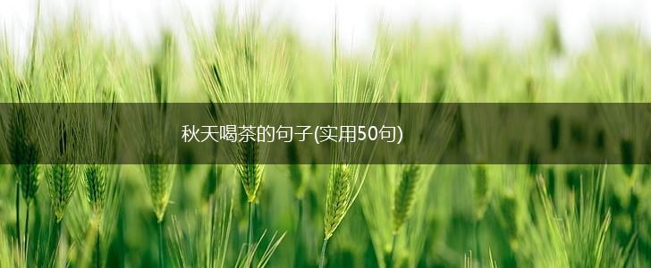 秋天喝茶的句子(实用50句),第1张