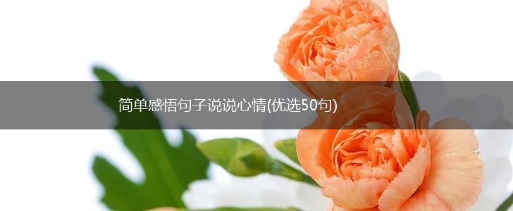 简单感悟句子说说心情(优选50句),第1张