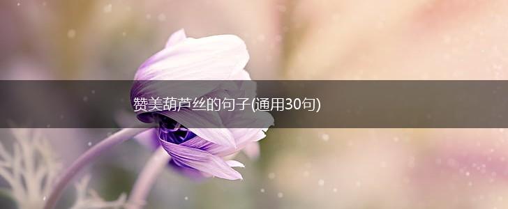 赞美葫芦丝的句子(通用30句),第1张