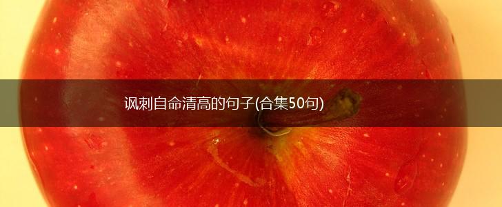 讽刺自命清高的句子(合集50句),第1张