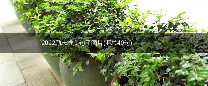 2022励志唯美句子图片(汇总40句),第1张