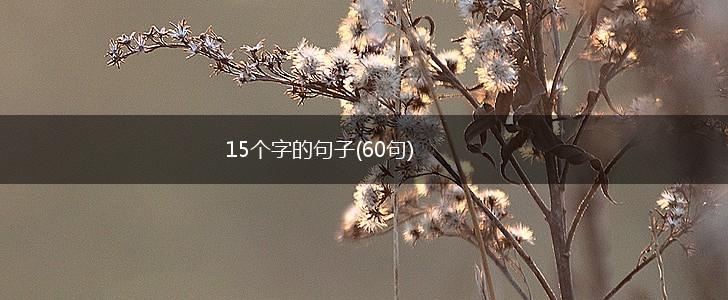15个字的句子(60句),第1张