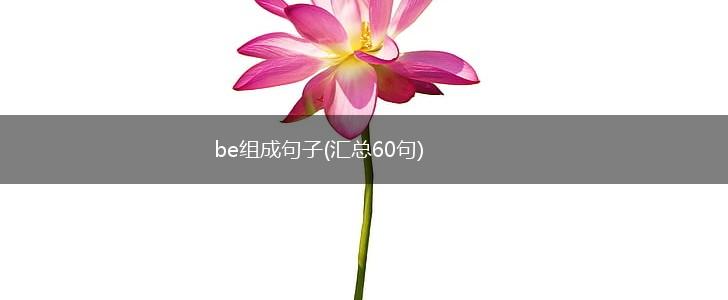 be组成句子(汇总60句),第1张