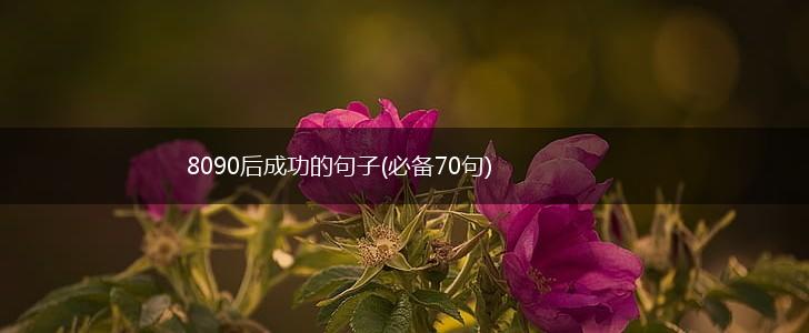 8090后成功的句子(必备70句),第1张