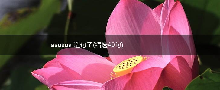 asusual造句子(精选40句),第1张