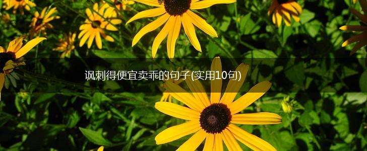 讽刺得便宜卖乖的句子(实用10句),第1张
