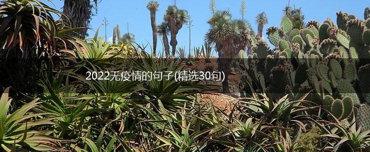 2022无疫情的句子(精选30句),第1张