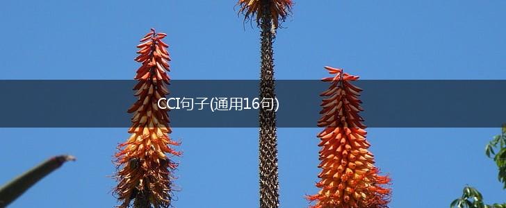 CCI句子(通用16句),第1张